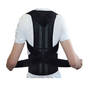 Back Fixation Belt