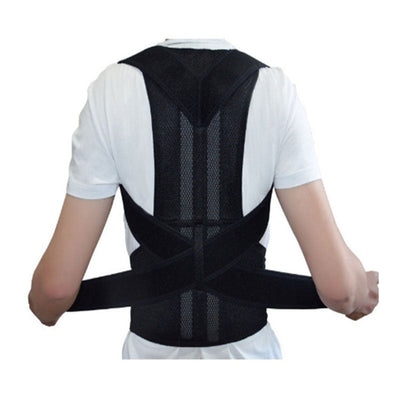 Back Fixation Belt