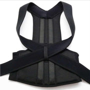 Back Fixation Belt