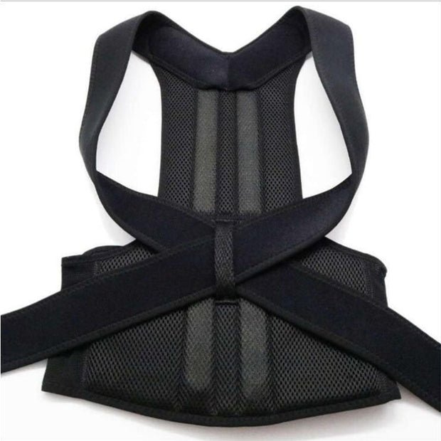 Back Fixation Belt