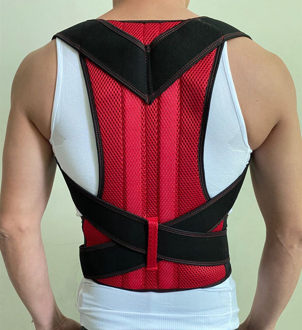 Back Fixation Belt
